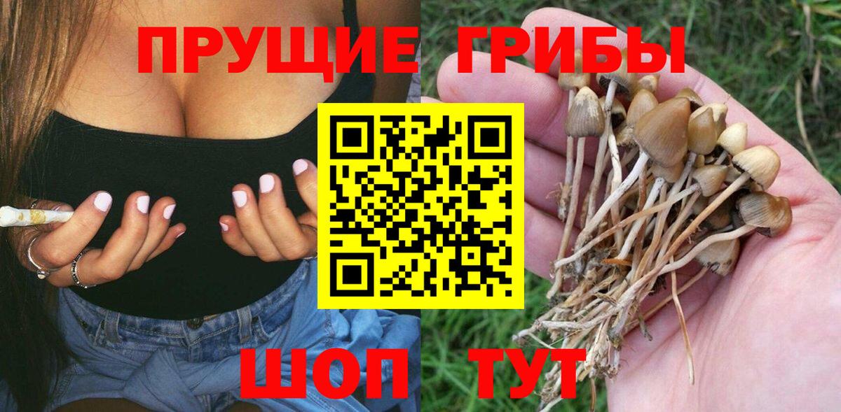 Анапа  Псилоцибиновые грибы MAGIC MUSHROOMS  Вход с VPN 