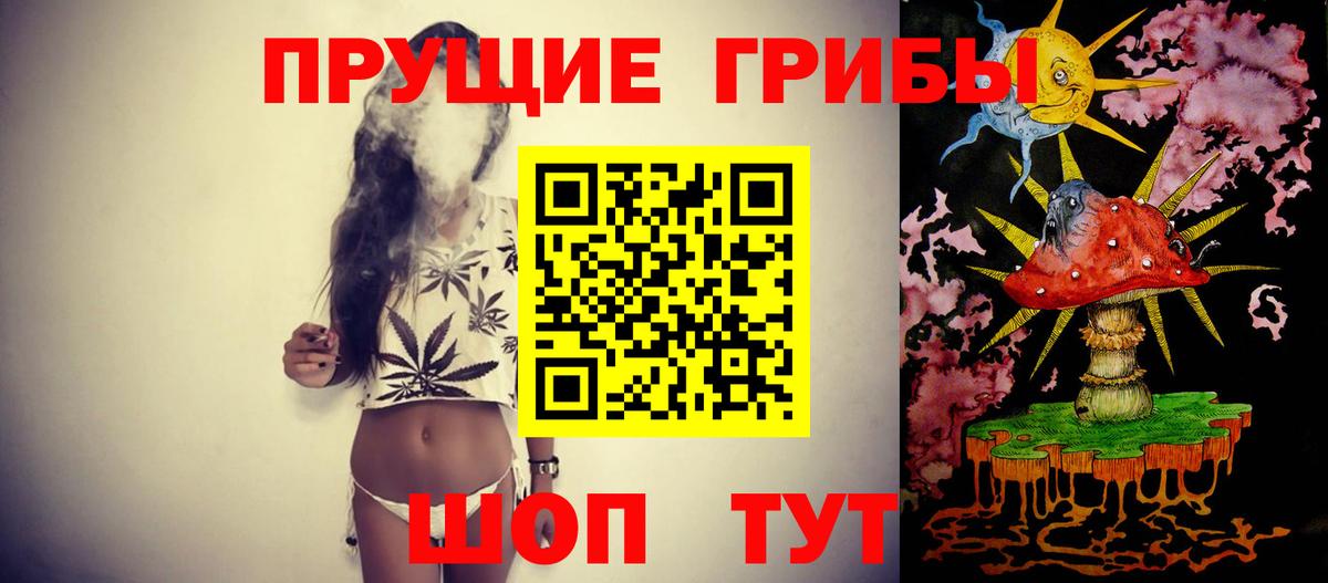 Псилоцибиновые грибы GOLDEN TEACHER Анапа